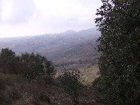 nte Ilice-20110120 028